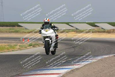 media/Jul-23-2023-TrackDaz (Sun) [[5bdcf0335d]]/Group C/Wheelie Bump (240pm)/